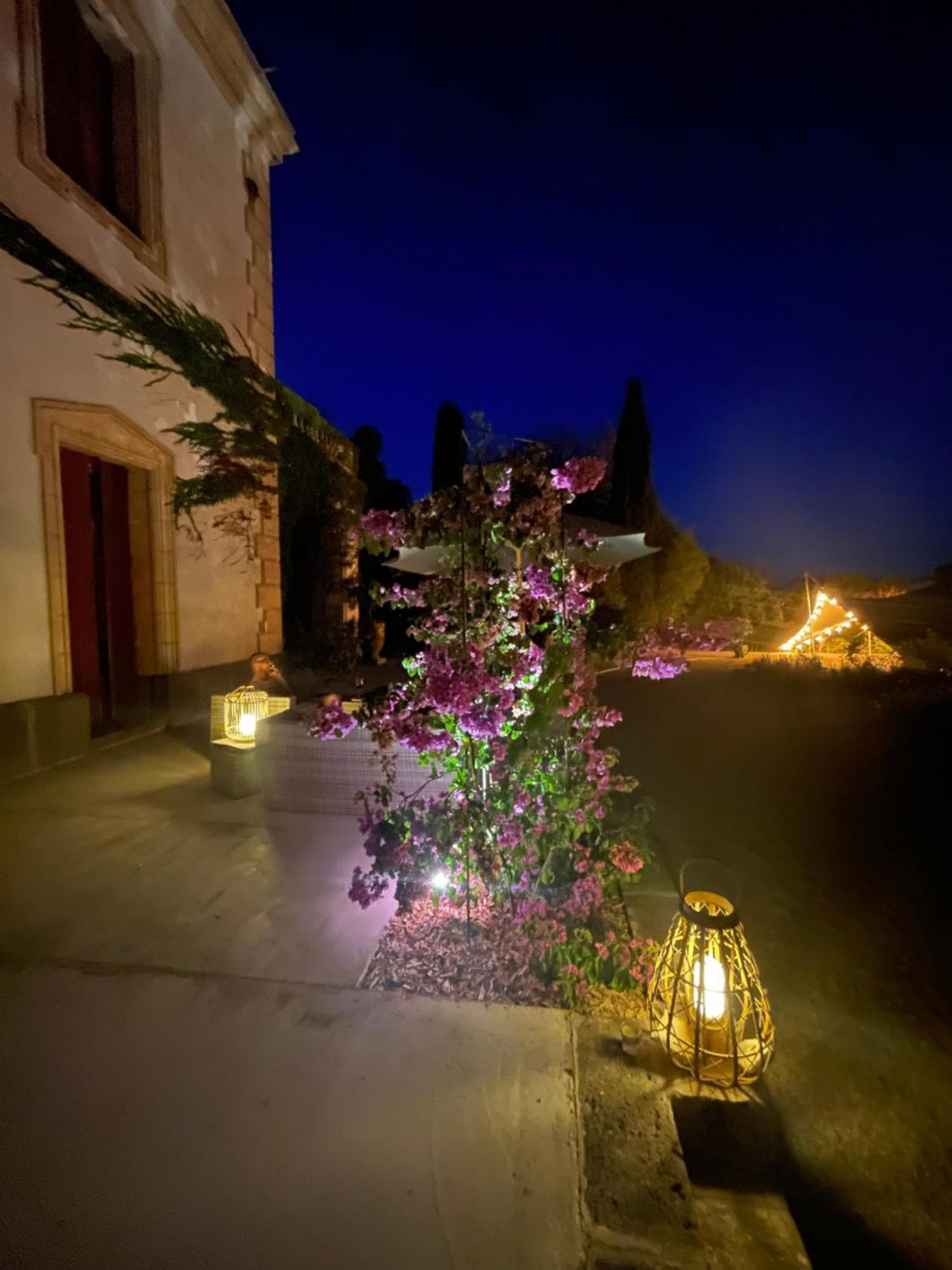 La Bellonette Marseillan  Luaran gambar