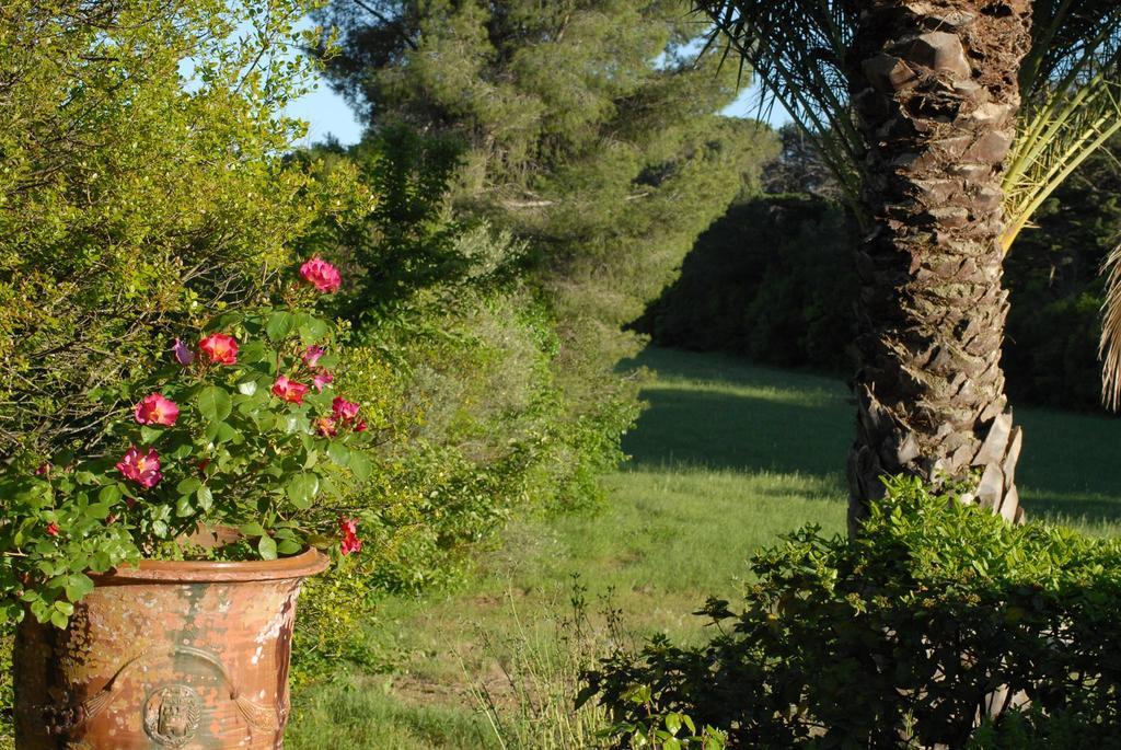 La Bellonette Marseillan  Luaran gambar