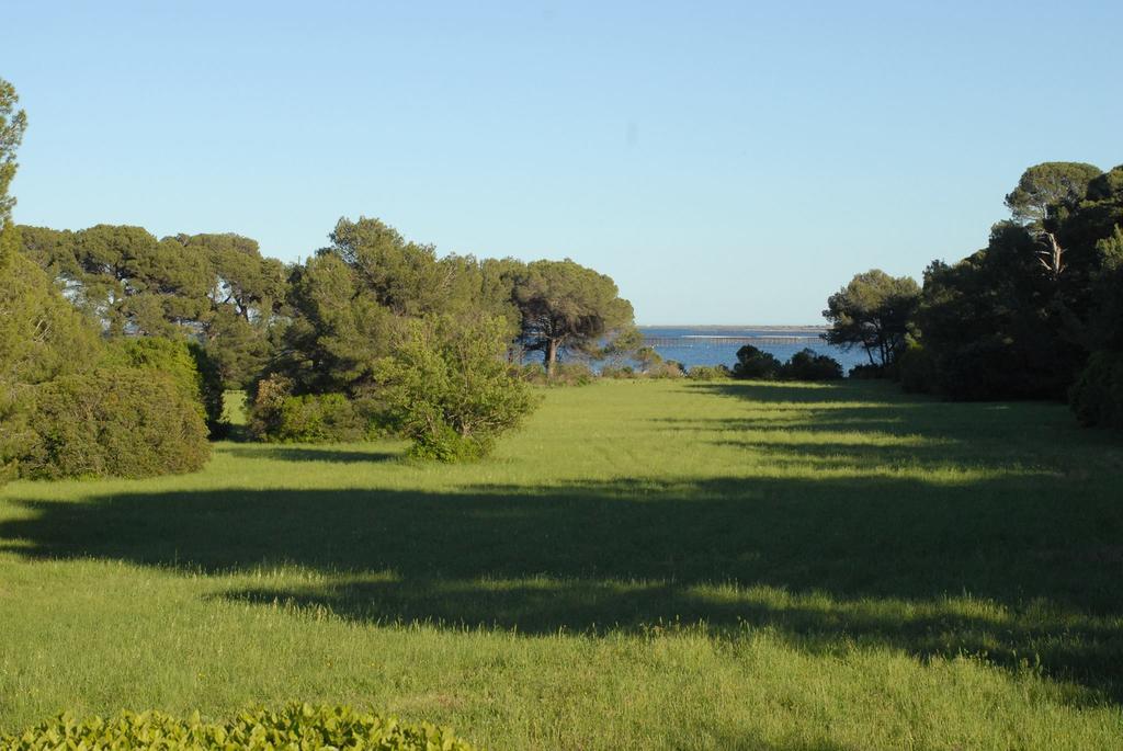La Bellonette Marseillan  Luaran gambar