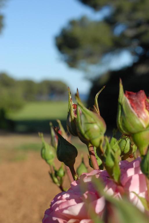 La Bellonette Marseillan  Luaran gambar